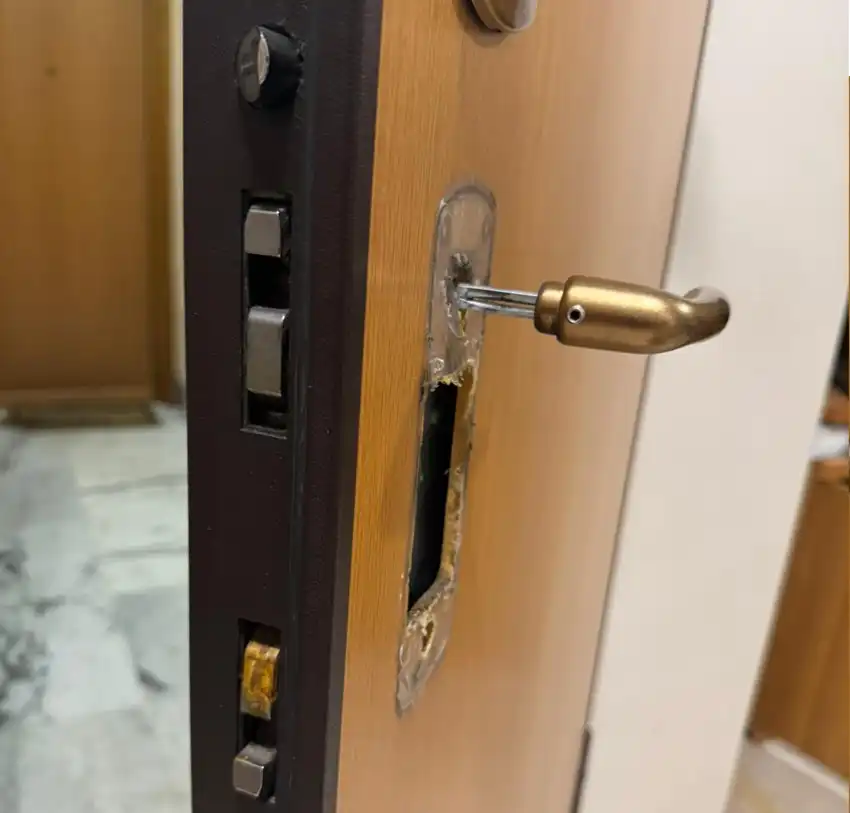 Furti con acido Torino